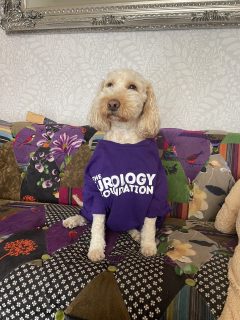 Max T Shirt 2