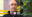 Steve – bladder cancer