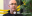Steve – bladder cancer