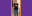 Website banners (5)